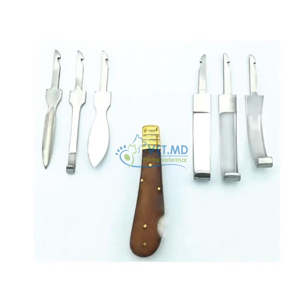 Копытный нож со сменными лезвиями